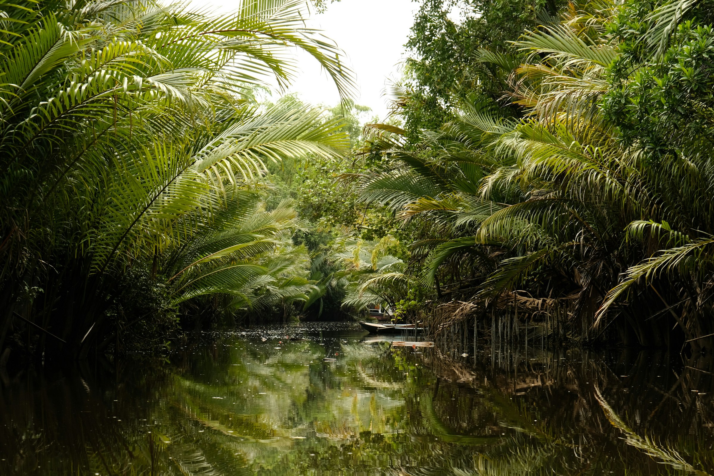 Tropical jungle river Kampot Cambodia
