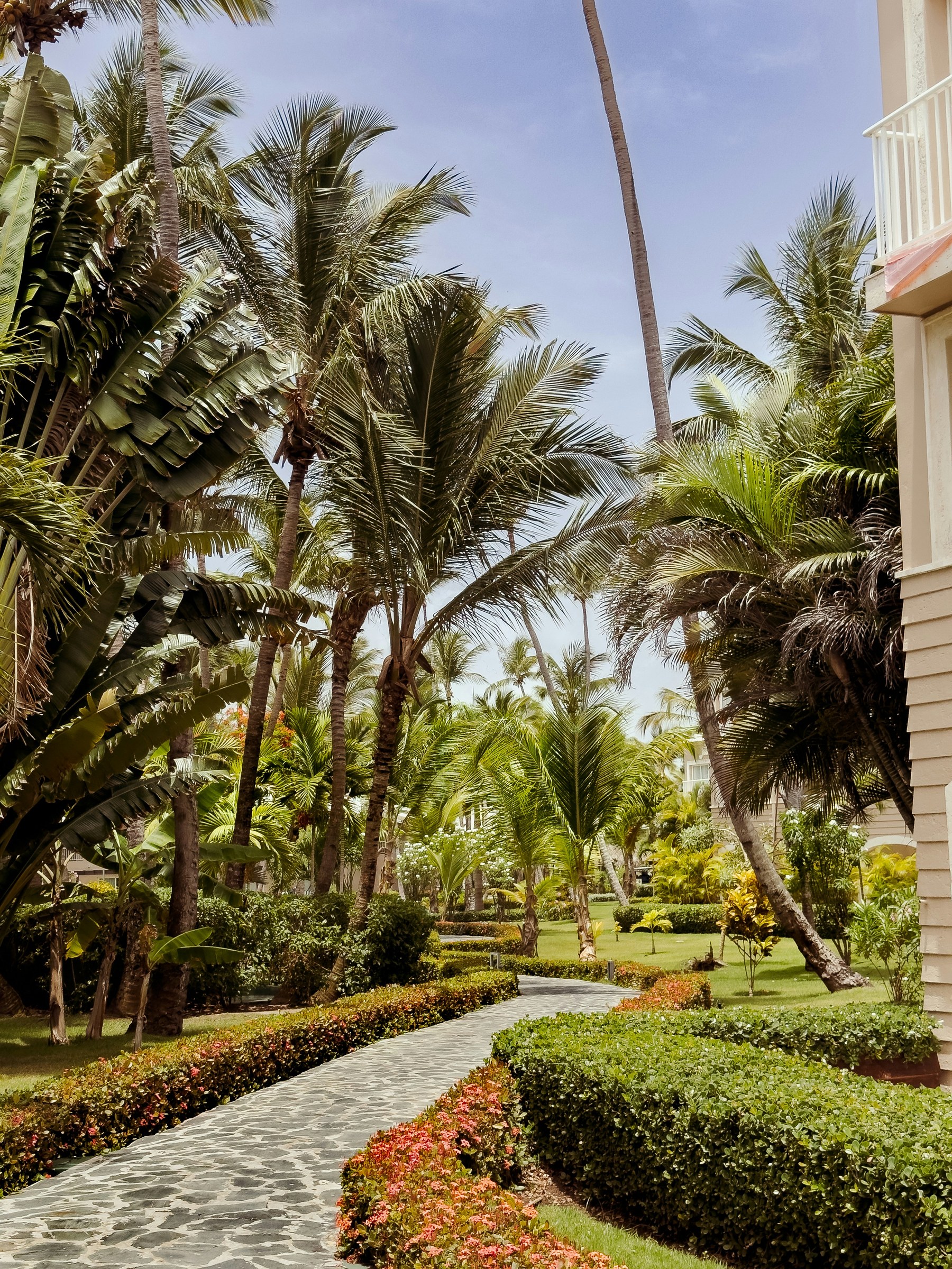 Tropical resort garden pathway palms