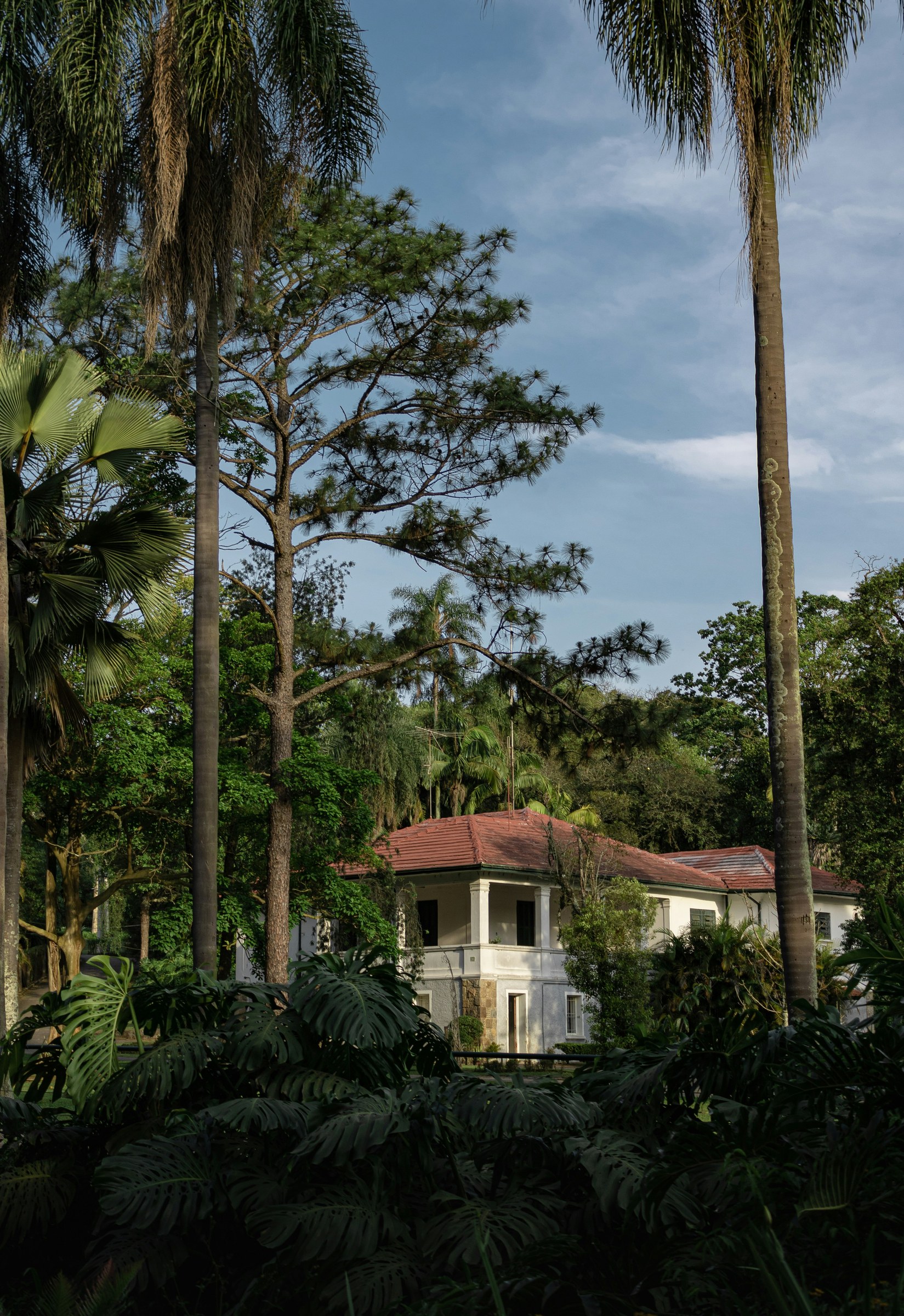 Colonial villa nestled in tropical jungle gardens