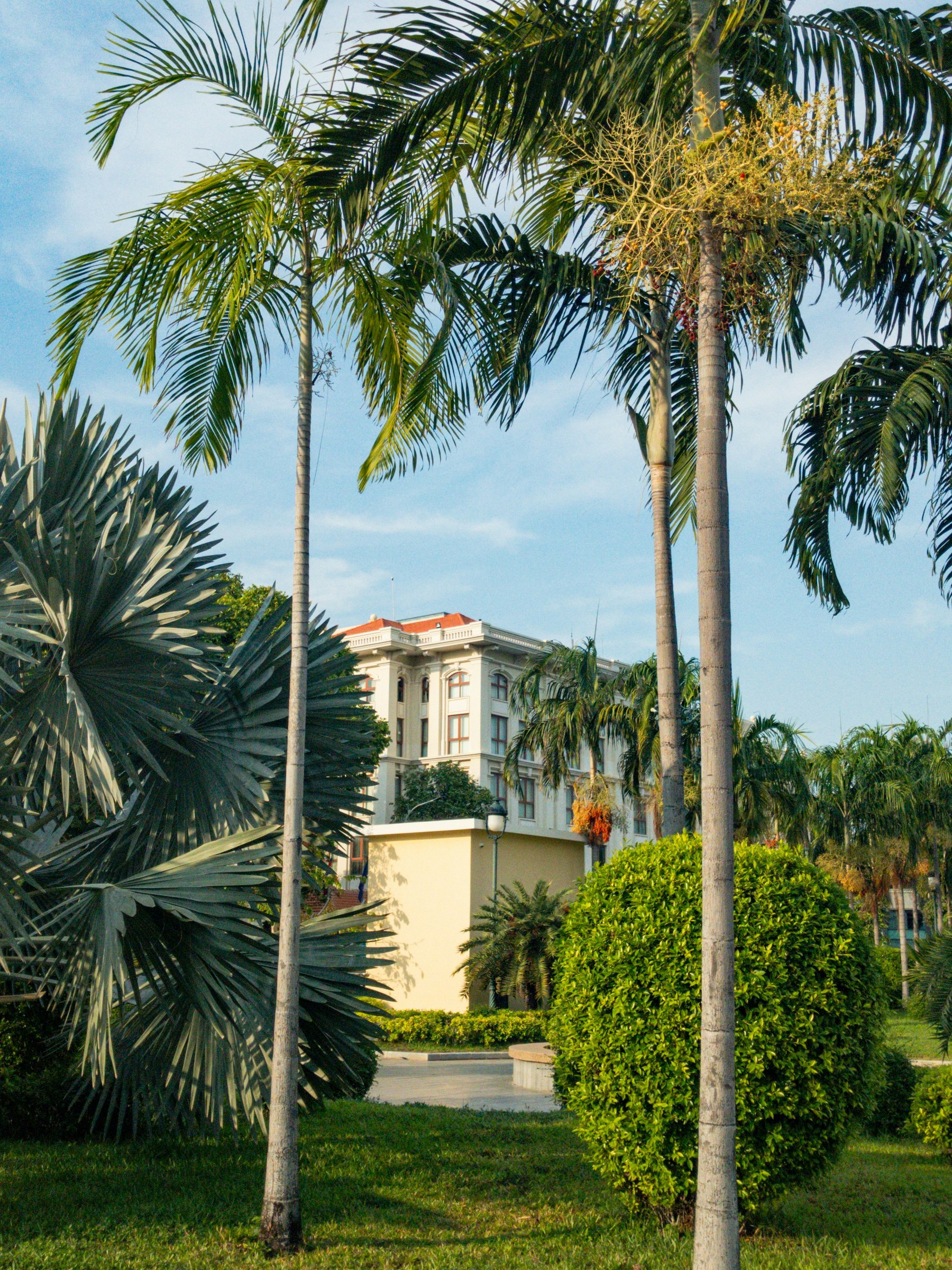 Elegant white hotel building through tropical palms