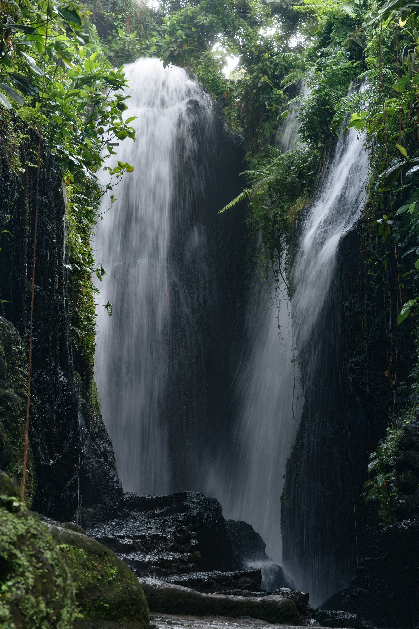Tropical jungle waterfall Cambodia nature